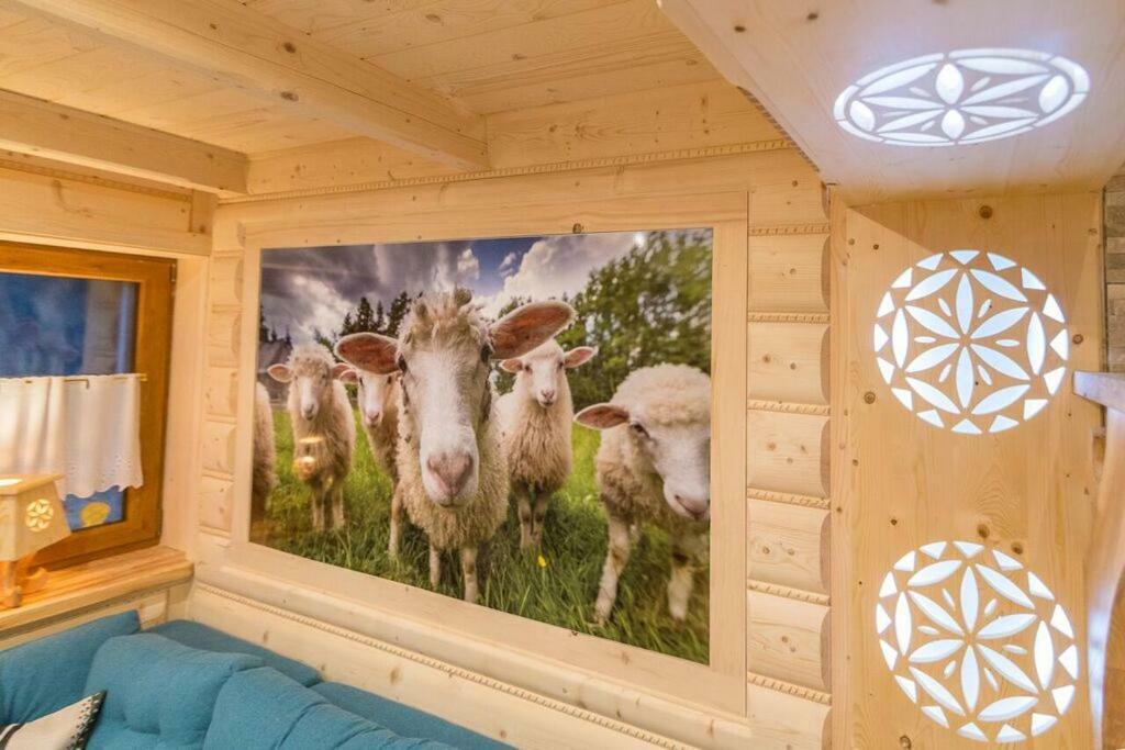 Apartamento Góralska Kryjówka Zakopane Exterior foto